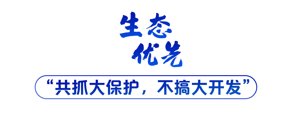 學(xué)習(xí)關(guān)鍵詞丨聽，長(zhǎng)江經(jīng)濟(jì)帶高質(zhì)量發(fā)展“協(xié)奏曲”