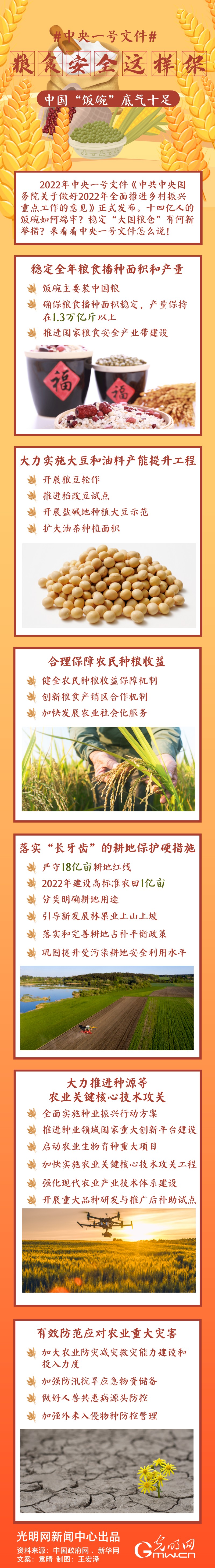 中央一號(hào)文件｜糧食安全這樣保，中國(guó)“飯碗”底氣十足