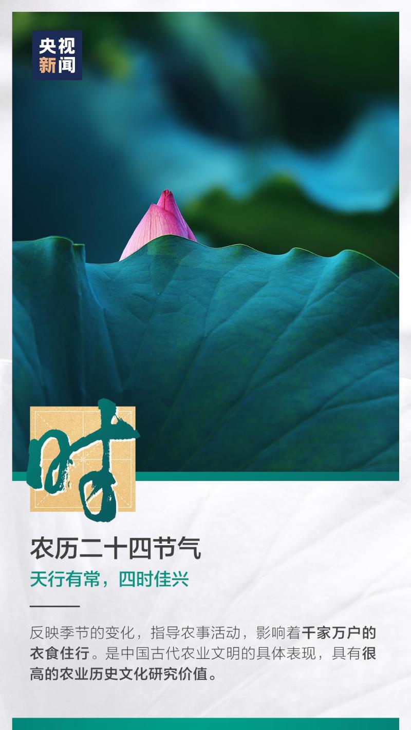 這也太浪漫了吧！