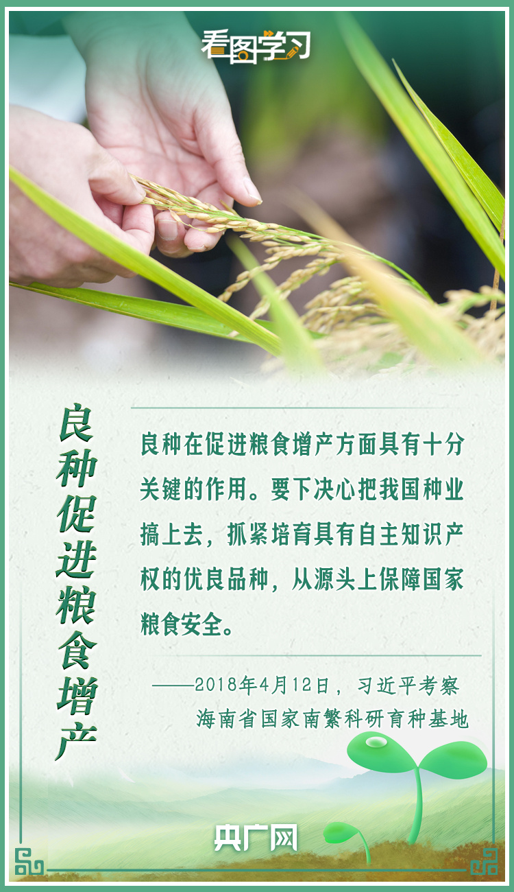 看圖學(xué)習(xí)|牢記總書記叮囑 攥緊種子端牢飯碗