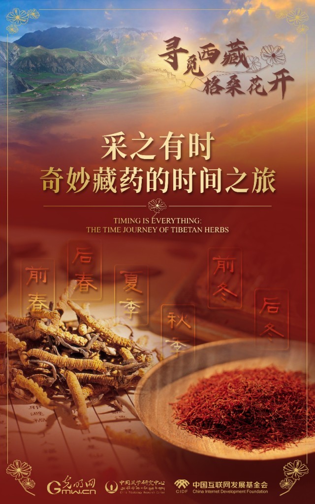 【尋覓西藏·格?；ㄩ_】采之有時：奇妙藏藥的時間之旅