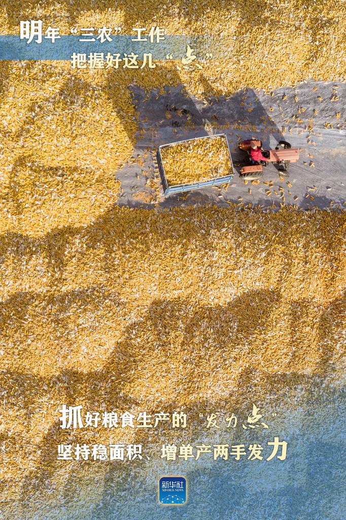 明年“三農(nóng)”工作，這幾個“點”要把握好