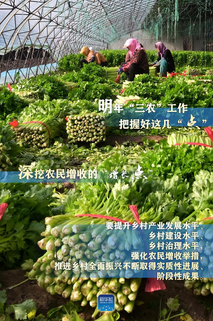 明年“三農(nóng)”工作，這幾個“點”要把握好