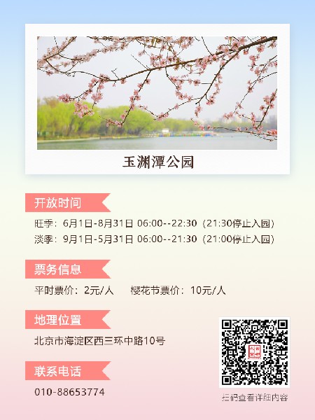 追花指南第三期！別等了 今天就去和桃花撞個(gè)滿懷