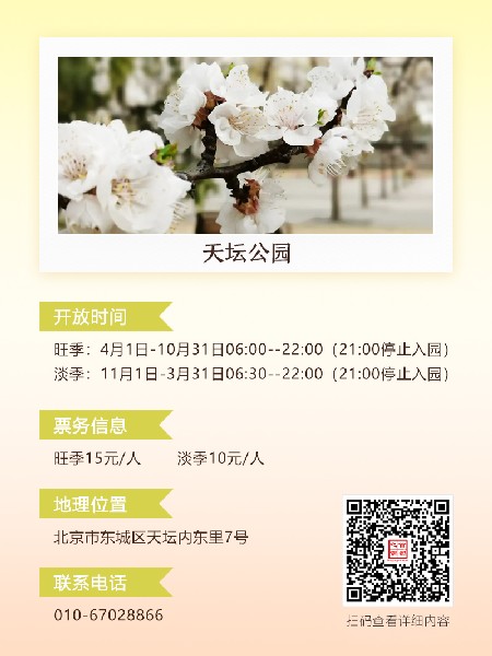 追花指南第六期！杏花雨 楊柳風(fēng) 北京最美的杏花在這里