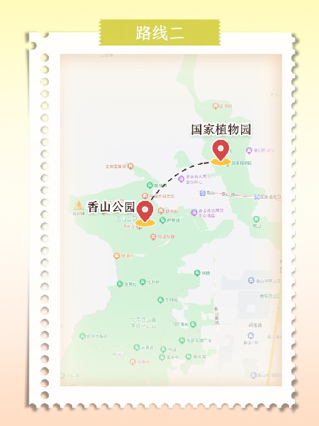 追花指南第六期！杏花雨 楊柳風(fēng) 北京最美的杏花在這里