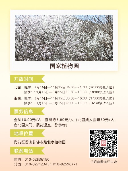 追花指南第六期！杏花雨 楊柳風(fēng) 北京最美的杏花在這里