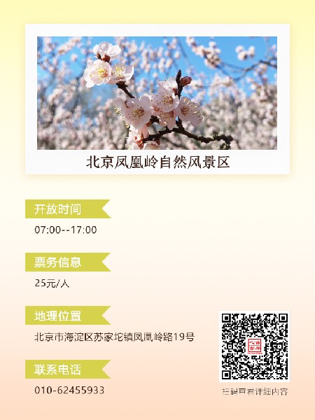 追花指南第六期！杏花雨 楊柳風(fēng) 北京最美的杏花在這里