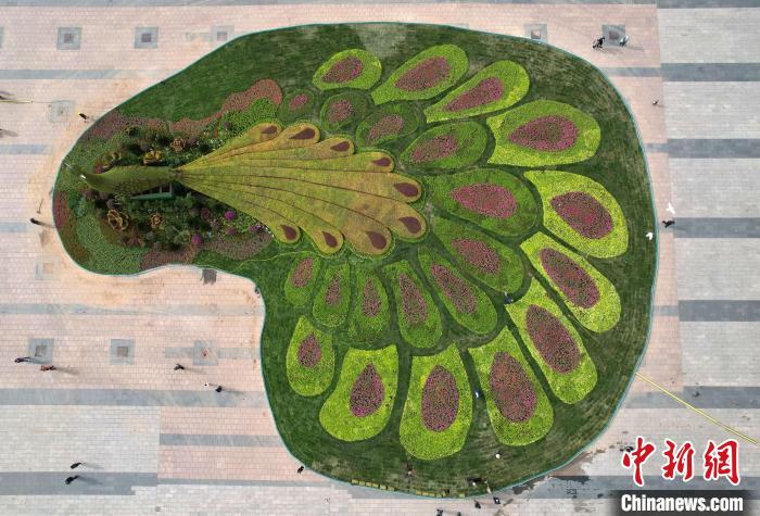 圖為航拍花壇。(無(wú)人機(jī)照片) 翟羽佳 攝