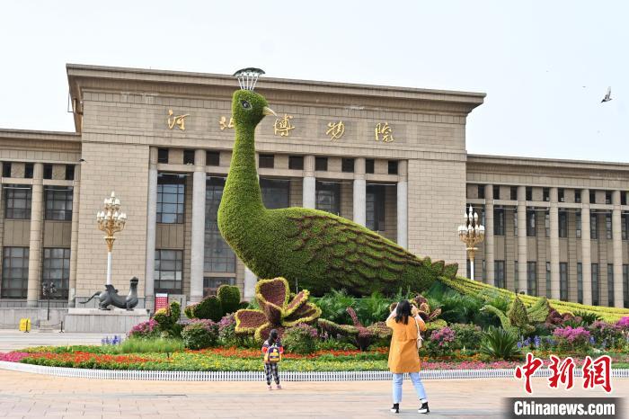 圖為游客在花壇前拍照打卡?！〉杂鸺?攝