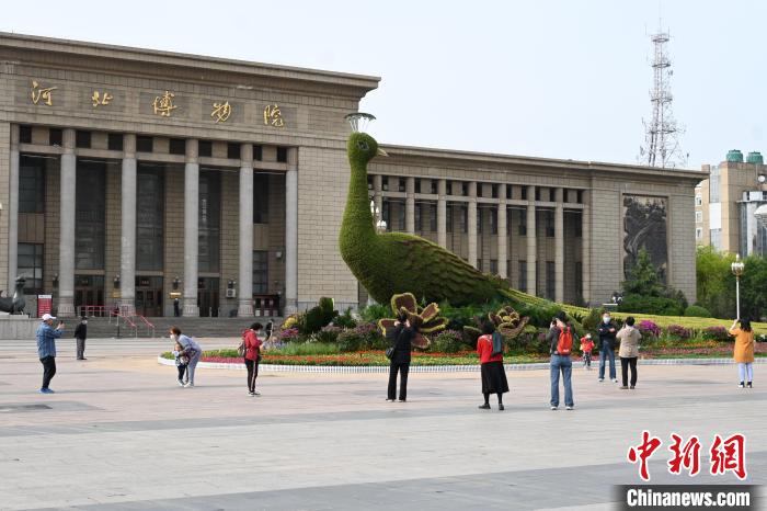 圖為游客在花壇前拍照打卡?！〉杂鸺?攝