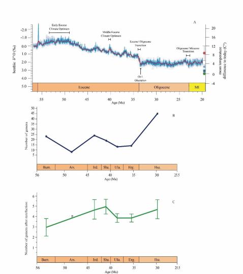 早始新世至早漸新世東亞嚙齒類屬級多樣性變化?！≈锌圃汗偶棺邓?供圖