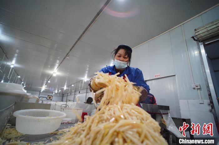 圖為一名工人正在處理切成條狀后的酸筍?！№f國政 攝