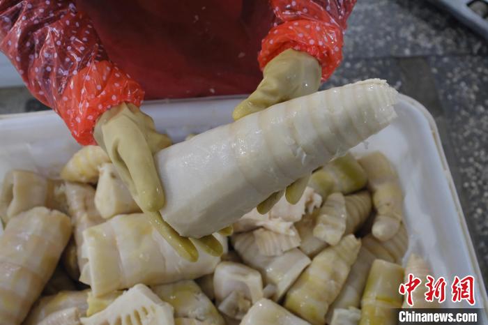 圖為整根腌制后撈出的酸筍?！⒖÷?攝