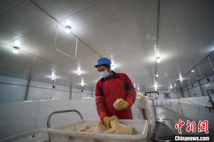 圖為一名工人正在查看酸筍腌制效果。　韋國政 攝