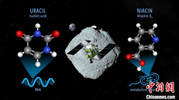 國際最新研究稱，近地小行星“龍宮”上發(fā)現(xiàn)尿嘧啶等核酸堿基
