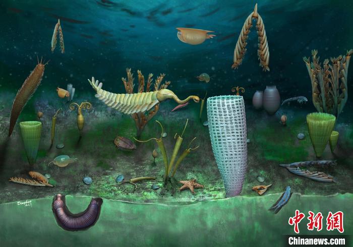 Castle Bank動(dòng)物群藝術(shù)復(fù)原圖(Yang Dinghua繪制)?！∈┢樟指瘛ぷ匀?供圖