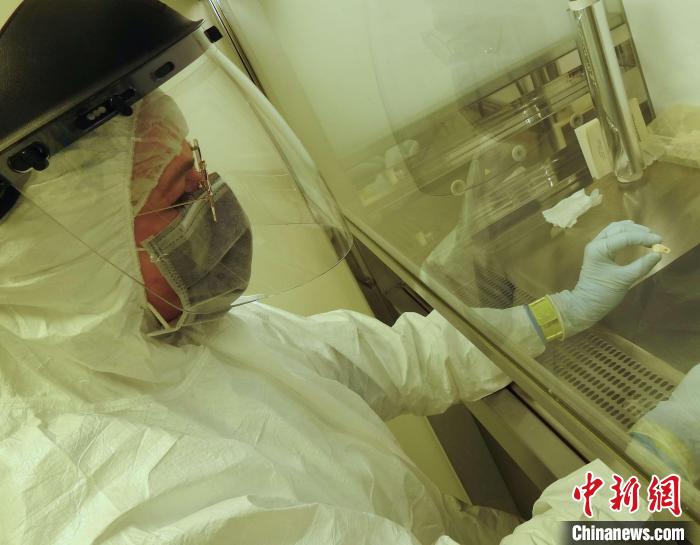 Elena Essel在凈室中處理鹿牙墜飾(圖片來自馬克斯·普朗克演化人類學研究所)。　施普林格·自然 供圖