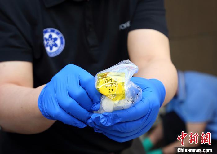 隨神舟十五號返回地面的空間科學(xué)實驗樣品?！≈锌圃嚎臻g應(yīng)用中心 供圖