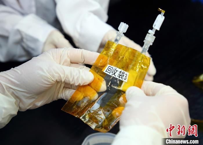 隨神舟十五號返回地面的空間科學(xué)實驗樣品?！≈锌圃嚎臻g應(yīng)用中心 供圖