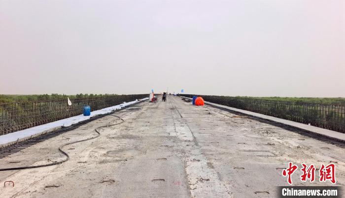 工作人員正在橋面上緊張有序地施工?！∈酚窠?攝