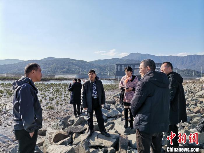 浙江海洋生態(tài)觀察：智慧大腦如何解鎖藍(lán)色發(fā)展密碼？