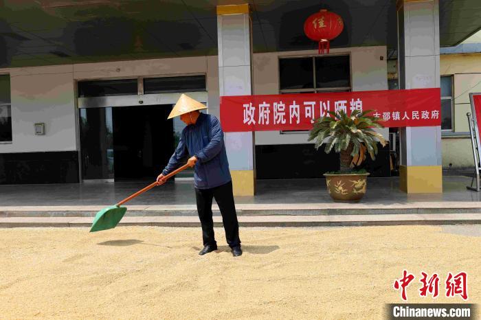 村民在棗莊市嶧城區(qū)古邵鎮(zhèn)政府大院內晾曬糧食?！『?　攝