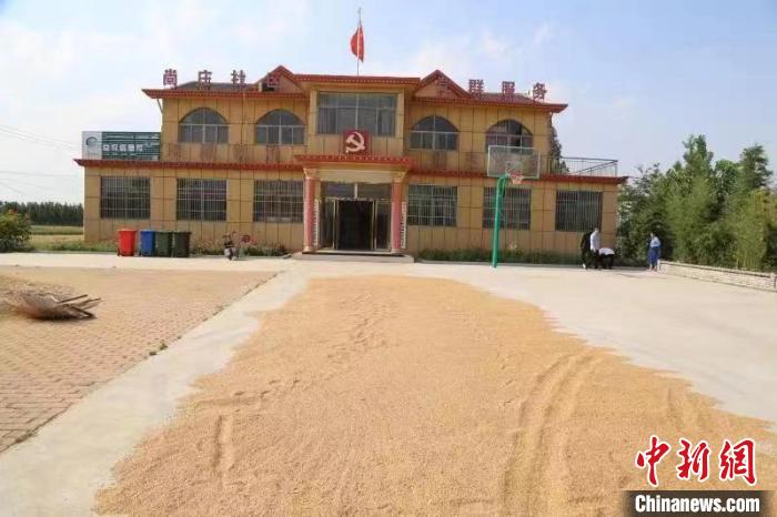 農民在邳莊鎮(zhèn)尚莊村黨群服務中心大院里曬糧?！≠Z萌 攝