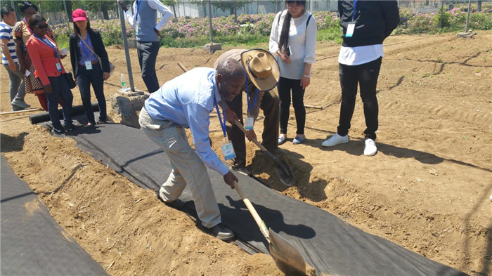 孫釗現(xiàn)場指導農民耕種。受訪者供圖