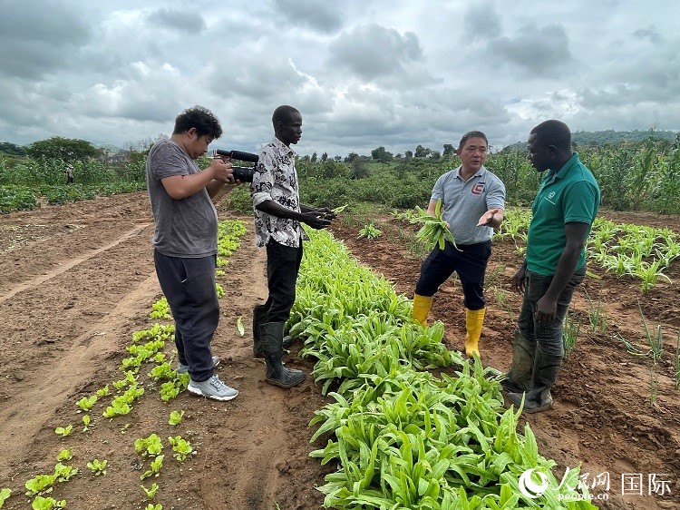 人民網(wǎng)記者走進(jìn)尼日利亞農(nóng)業(yè)技術(shù)示范中心。人民網(wǎng)記者 趙艷紅攝