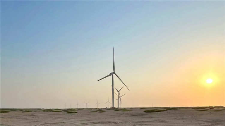 圖為阿聯(lián)酋風(fēng)電示范項目在阿布扎比薩爾巴尼亞斯島上的風(fēng)電場。 中國電建供圖