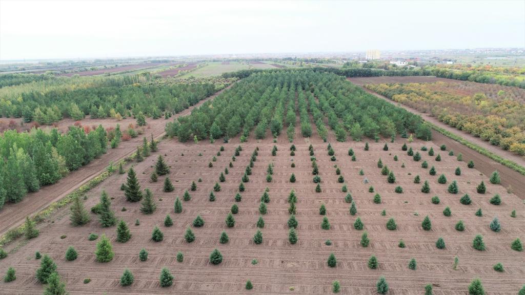 這是2023年9月11日在哈薩克斯坦首都阿斯塔納拍攝的一處植物種質(zhì)資源苗圃（無人機(jī)照片）。新華社發(fā)（法爾哈特·圖克諾夫 攝）