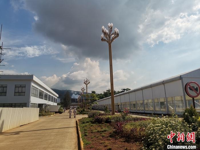 圖為園區(qū)生活區(qū)。 受訪者供圖