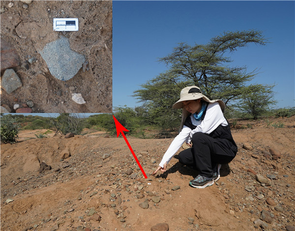 地層中的勒瓦婁哇石片。中肯聯(lián)合考古隊(duì)供圖