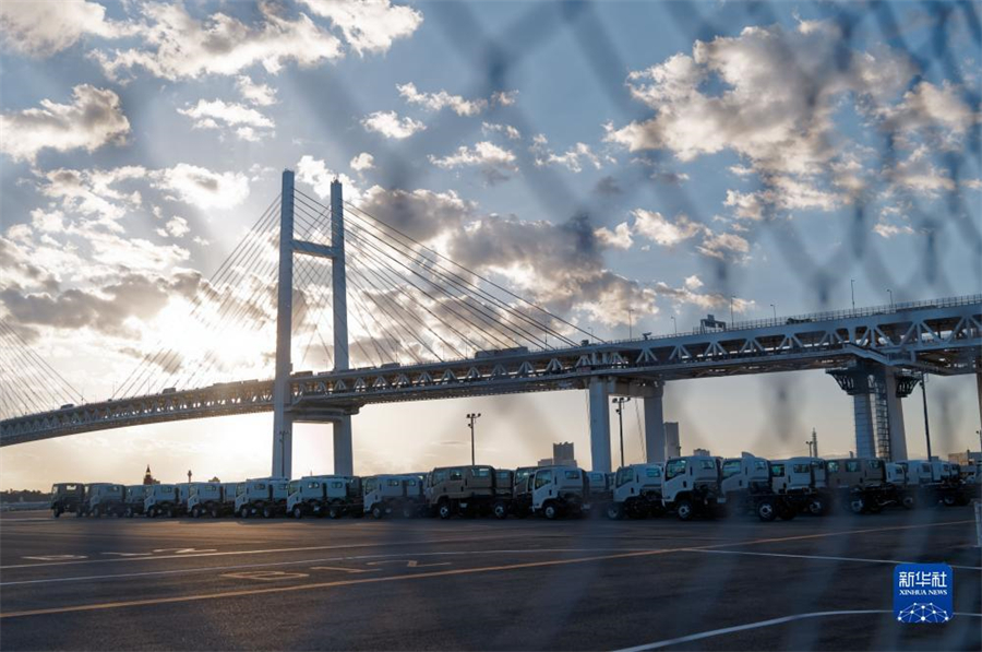 這是11月14日在日本橫濱拍攝的進(jìn)出口汽車集散場地。新華社記者 張笑宇 攝