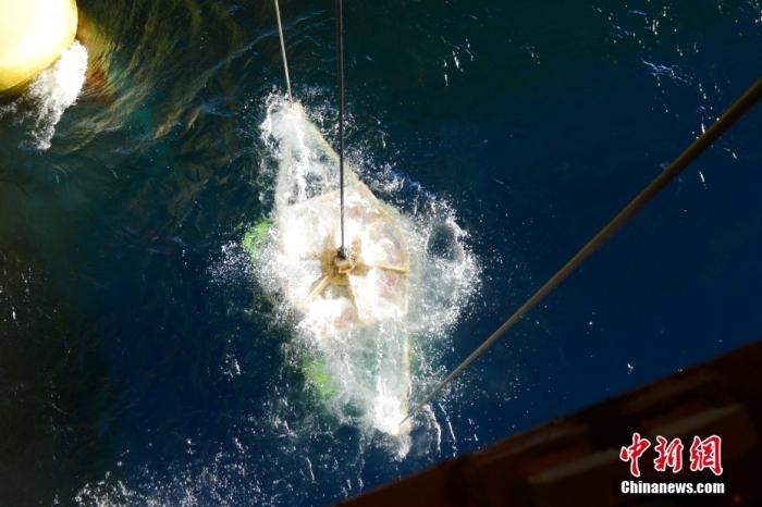 機器人入水瞬間。<a target='_blank' href='/' _fcksavedurl='/' ><p  align=