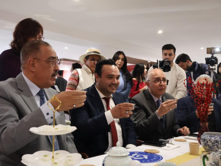 觀眾興致勃勃地體驗茶藝。陳芷珊攝