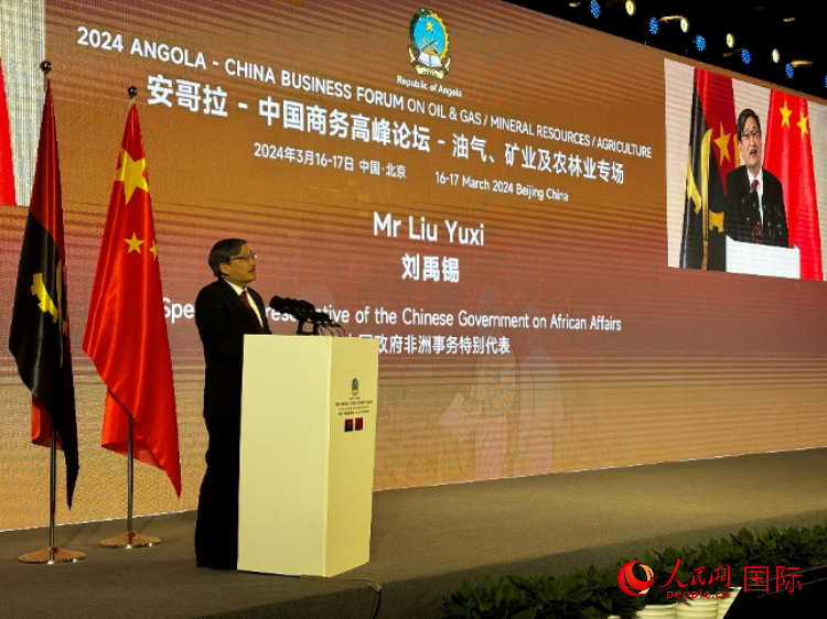 中國政府非洲事務(wù)特別代表劉禹錫。人民網(wǎng)記者 張榮攝