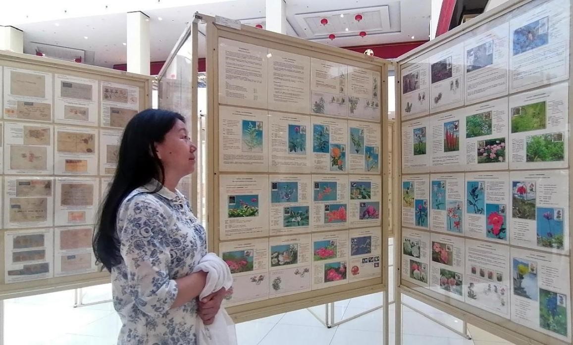 藥用植物極限片展覽場景。第七屆阿聯(lián)酋集郵展主辦方供圖