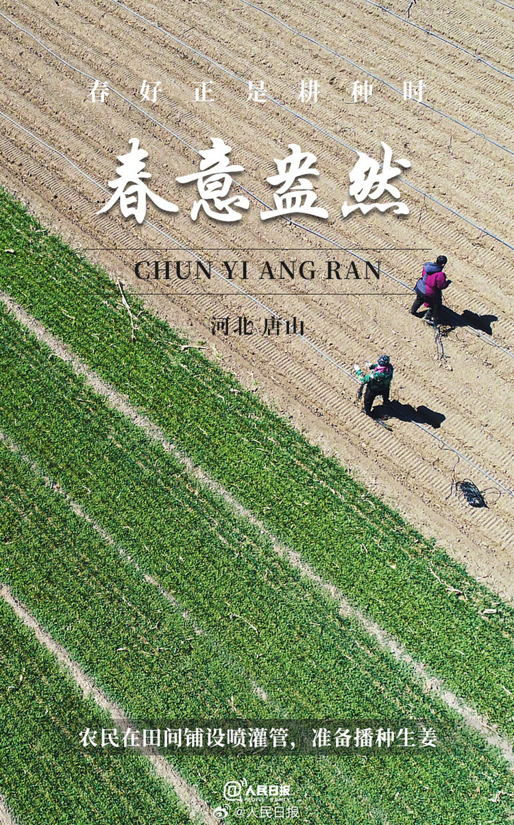 生機(jī)盎然！用課本封面打開(kāi)春耕畫(huà)卷