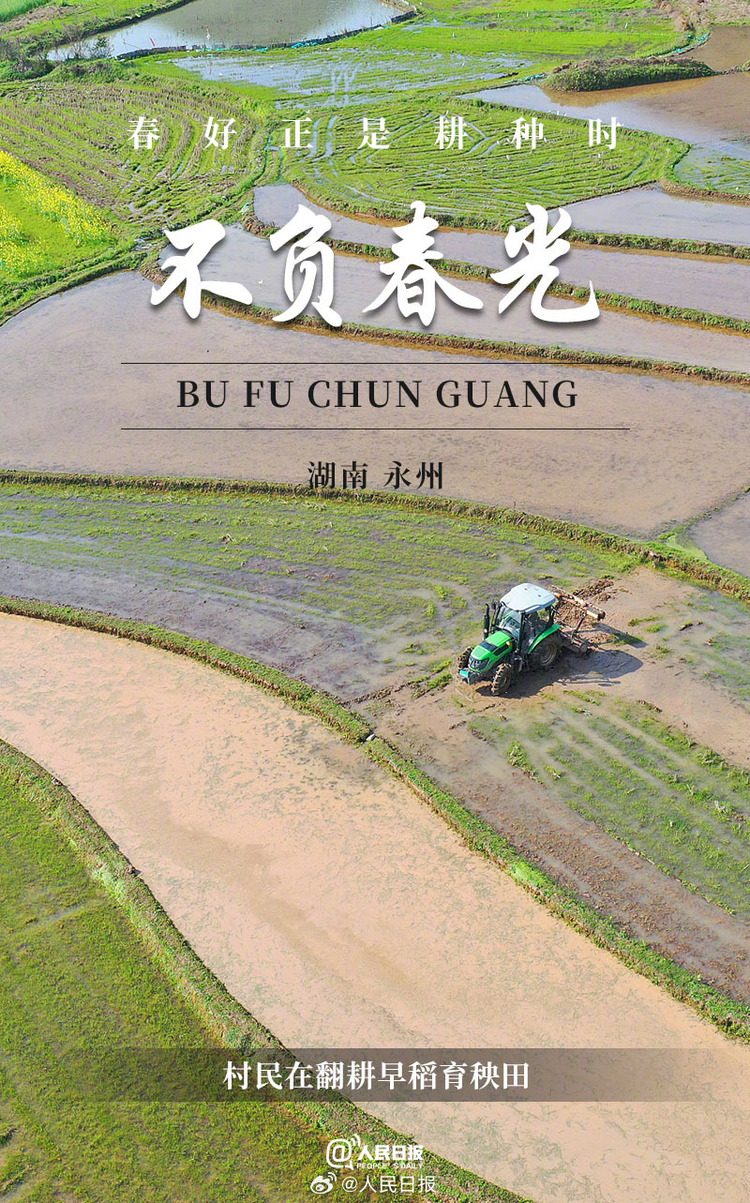 生機(jī)盎然！用課本封面打開(kāi)春耕畫(huà)卷