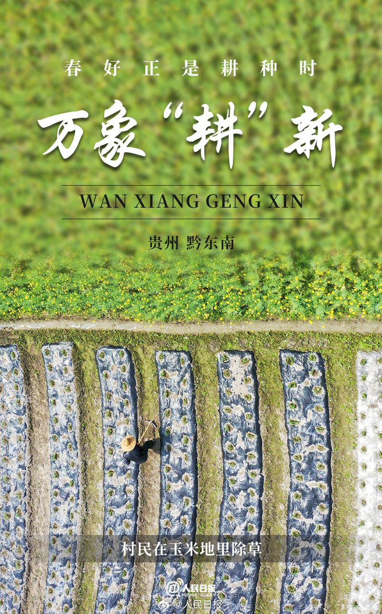 生機(jī)盎然！用課本封面打開(kāi)春耕畫(huà)卷