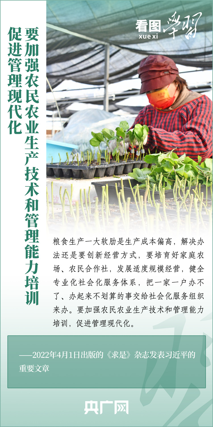 看圖學(xué)習(xí)丨推廣良田、良種、良法、良機(jī) 給農(nóng)業(yè)現(xiàn)代化插上科技的翅膀