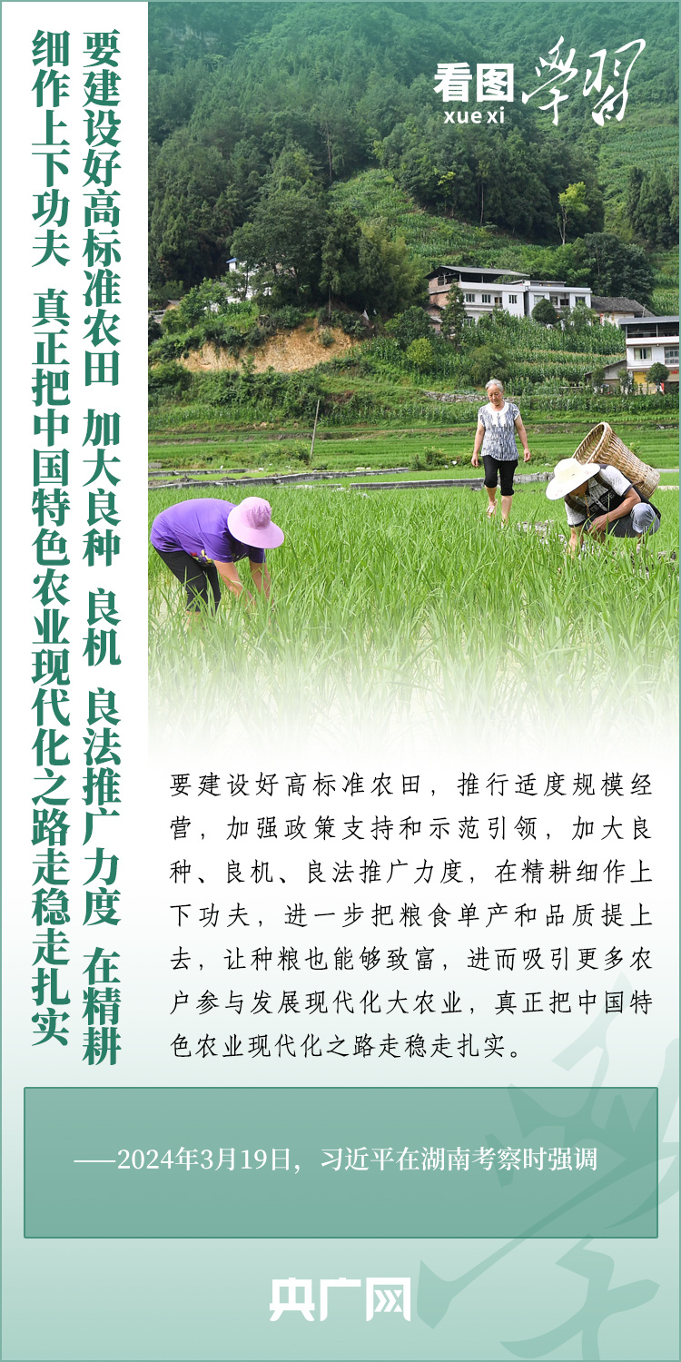看圖學(xué)習(xí)丨推廣良田、良種、良法、良機(jī) 給農(nóng)業(yè)現(xiàn)代化插上科技的翅膀