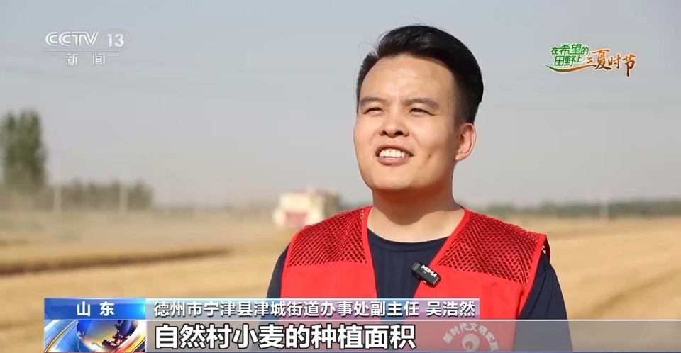 “三夏”生產(chǎn)思維導(dǎo)圖安排上了！還有政府大院等你來“曬”