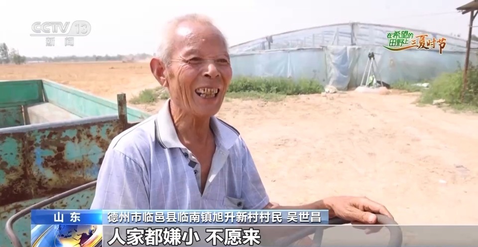 “三夏”生產(chǎn)思維導(dǎo)圖安排上了！還有政府大院等你來“曬”