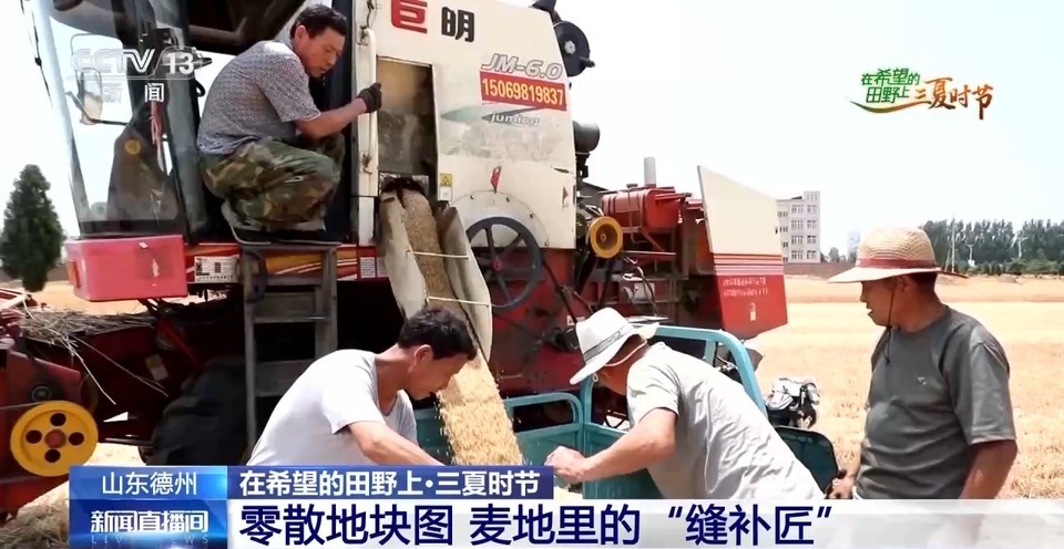 “三夏”生產(chǎn)思維導(dǎo)圖安排上了！還有政府大院等你來“曬”