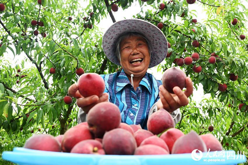 豐收的喜悅。蘭自濤攝