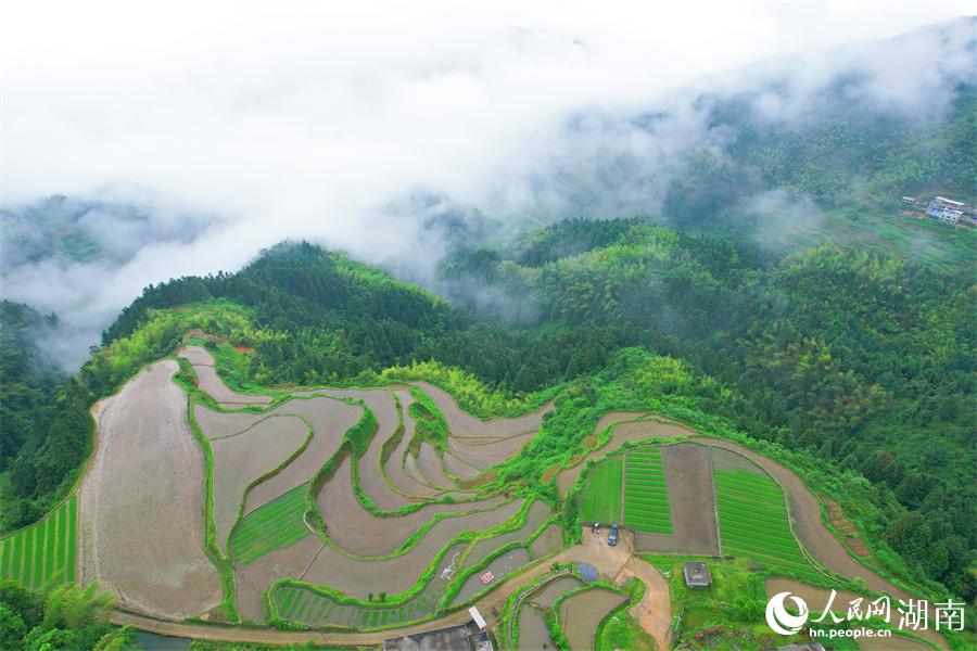 云中梯田美如畫。人民網(wǎng) 李芳森攝