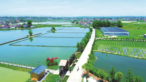 近年來，大成橋鎮(zhèn)堅持加強黨對鄉(xiāng)村治理的集中統(tǒng)一領(lǐng)導(dǎo)，該鎮(zhèn)鄉(xiāng)村治理模式入選第二批全國鄉(xiāng)村治理典型案例。圖為美麗的大成橋鎮(zhèn)。（資料圖片）